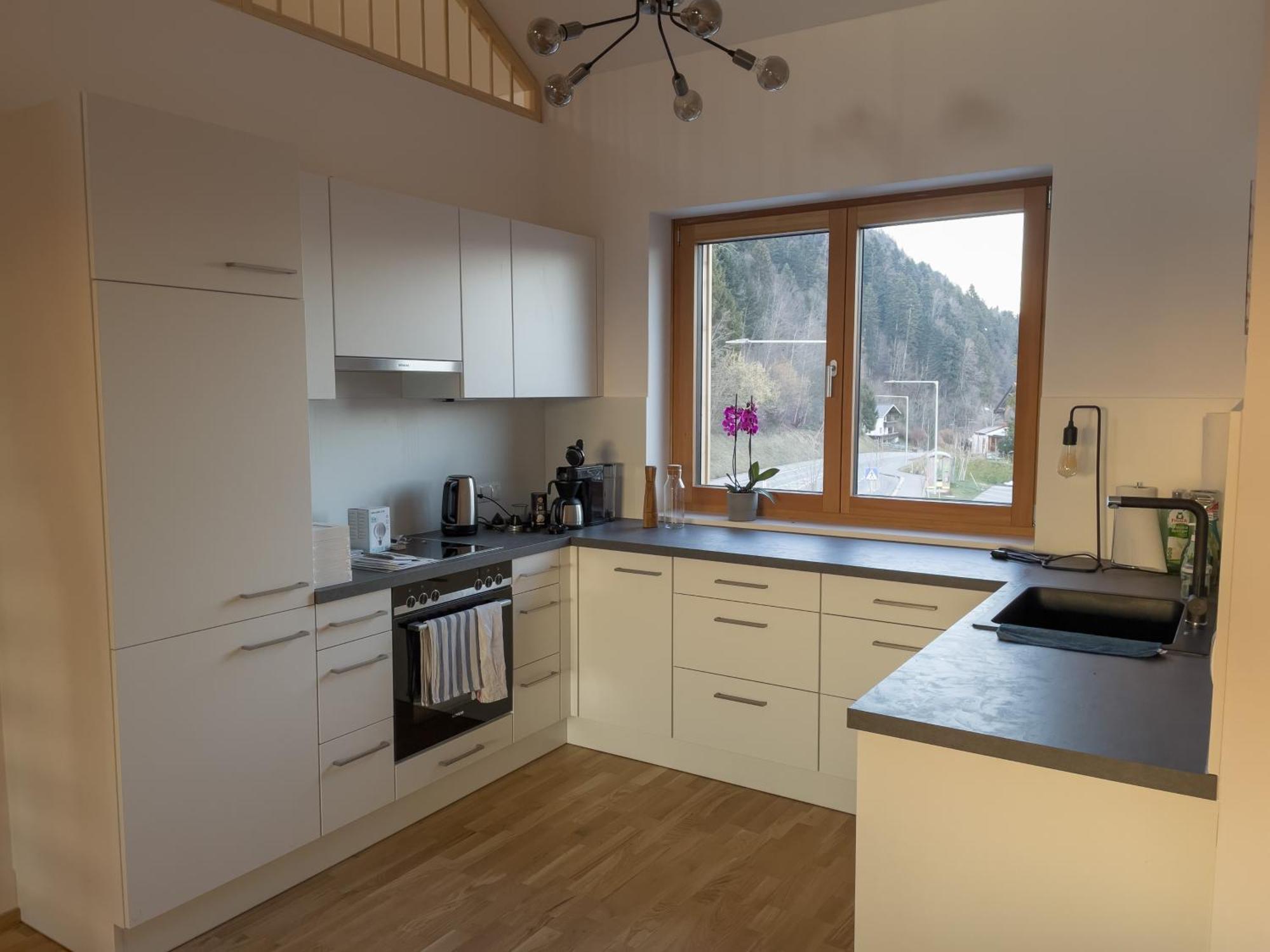 Gamsfels Josephine Galeriewohnung Langen Bei Bregenz Ngoại thất bức ảnh